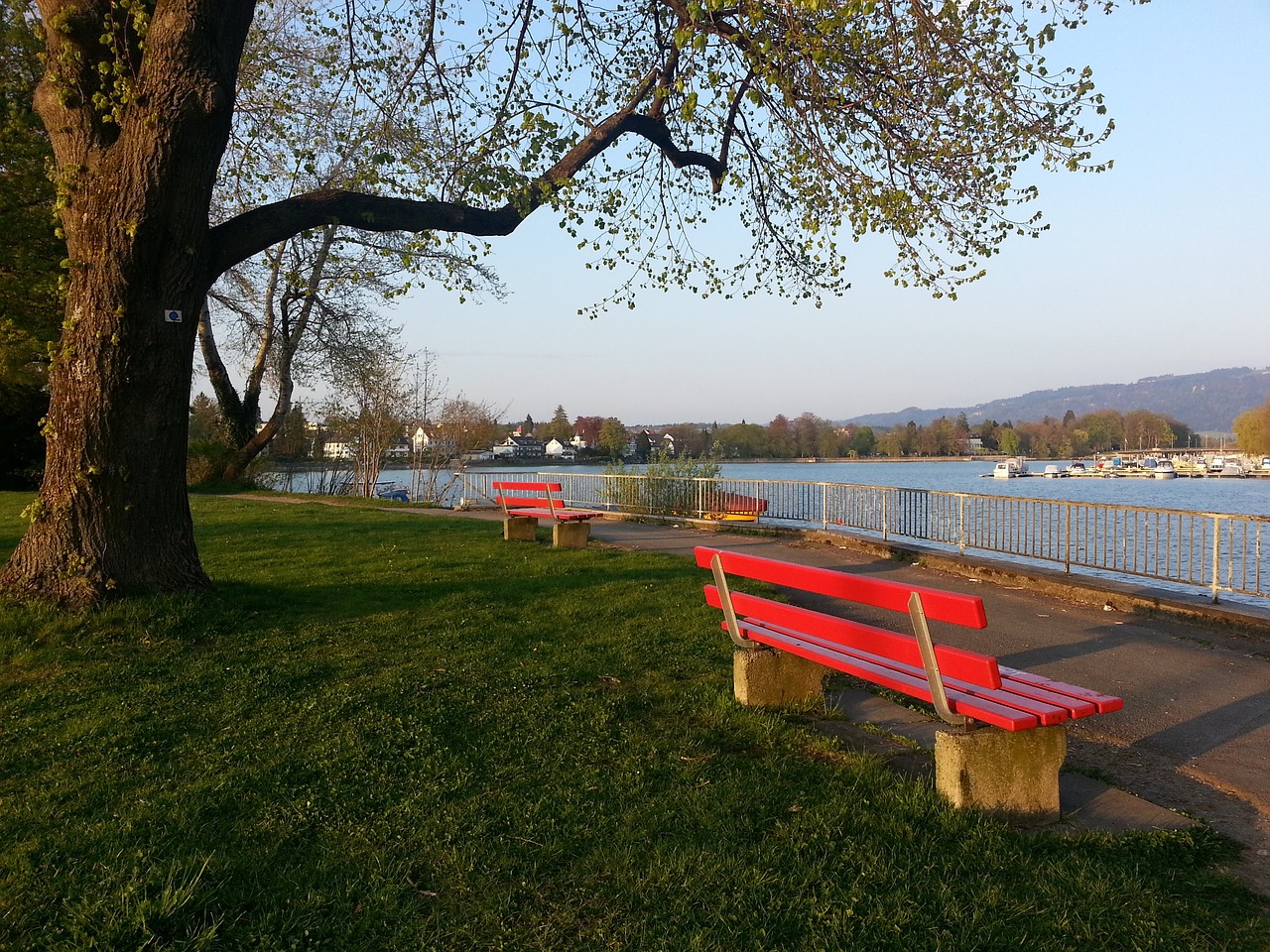 的劣势被对 的劣势被对