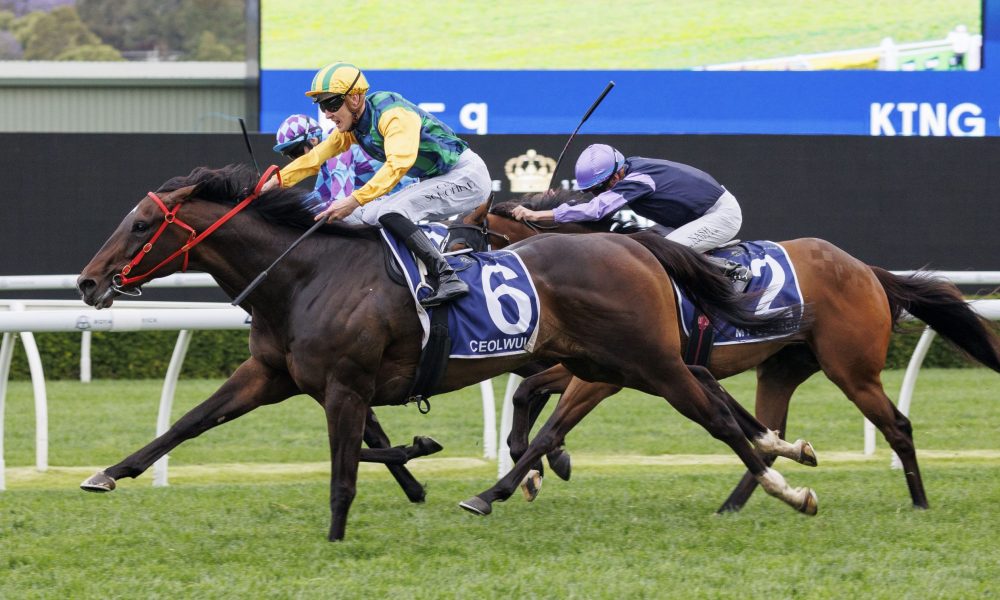 转型为一个 转型为一个