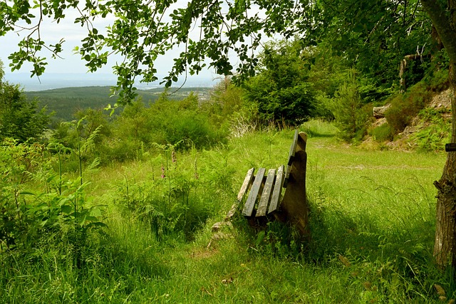 的鏈接點 的鏈接點